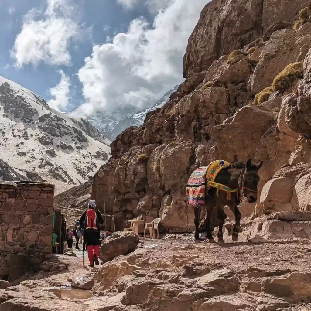 Mount Toubkal- climb up Morocco's highest peak